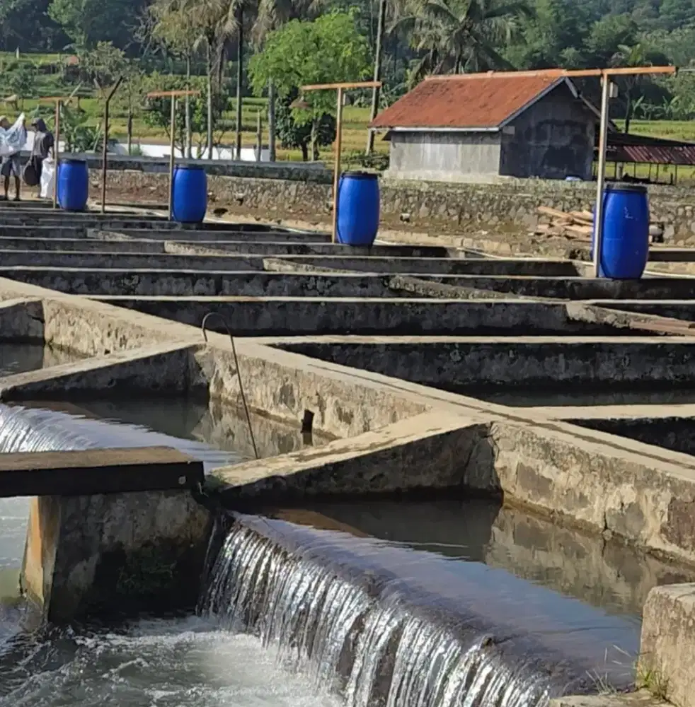 Jual Cepat Prospek Bisnis Bagus Lahan Kolam Ikan Air Deras