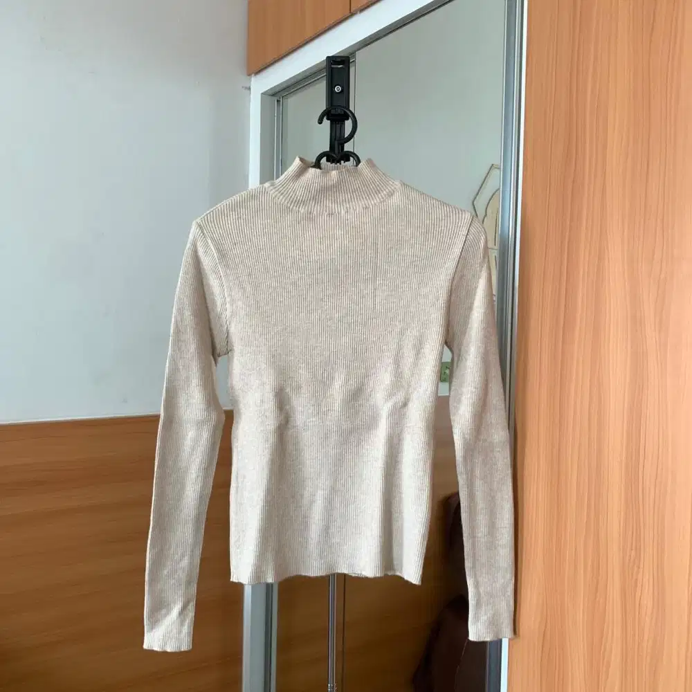 Long Sleeve Turtle Neck Knit (Beige)
