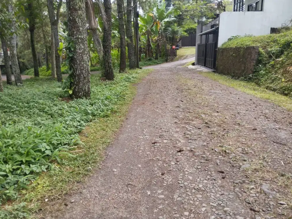 DAPATKAN DISKON 300 JT RUMAH PREMIUM DI DAGO BANDUNG