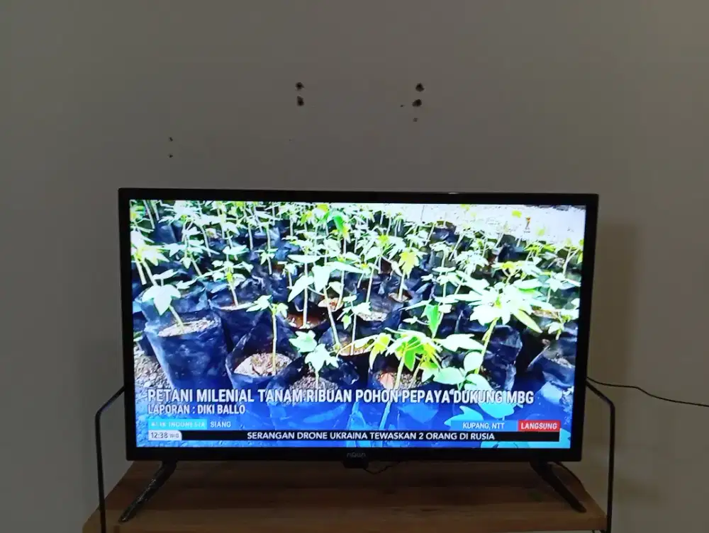 LED digital Aqua 32 in