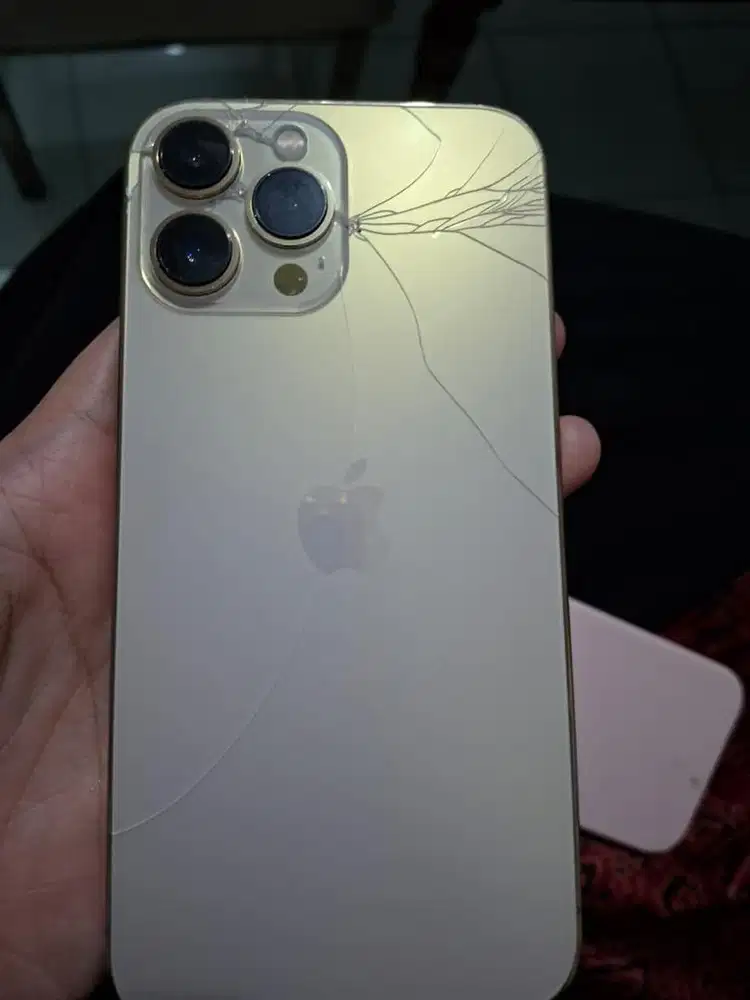 iPhone 13 Pro Max 256GB ex ibox | Minus Layar & Backdoor | Harga Nego