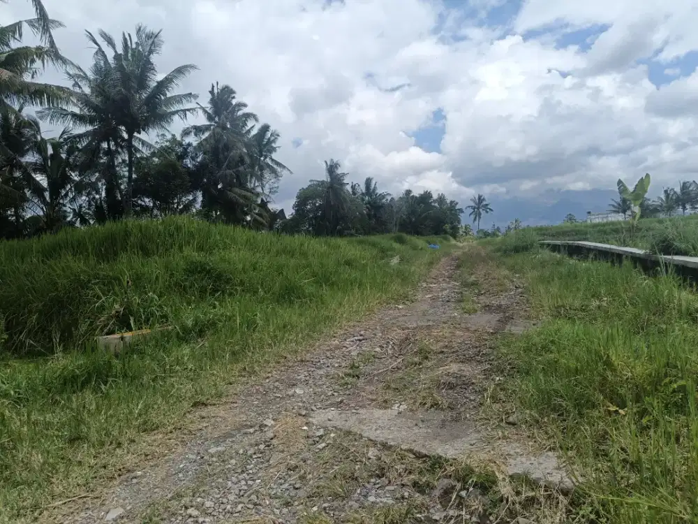 Dijual tanah SHM dekat kopi padasan view merapi jl Kaliurang km 17