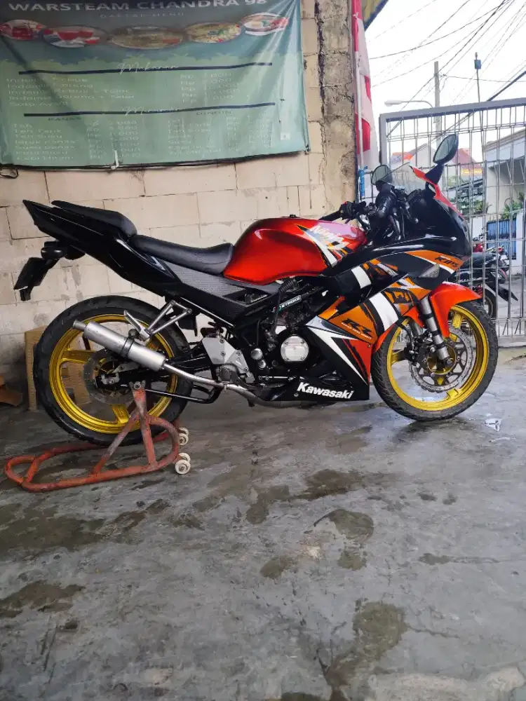 Kawasaki Ninja 150 RR New SE