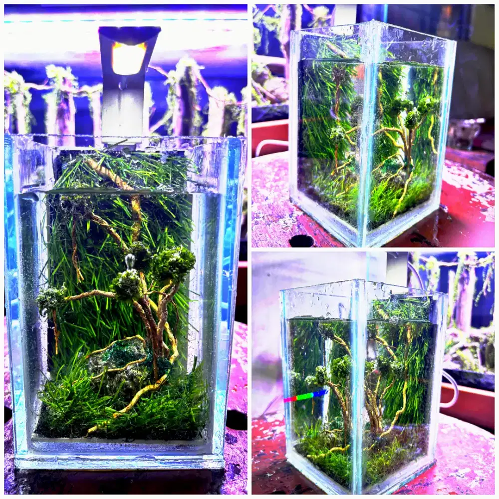 Aquascape Aquarium Mini Fullset