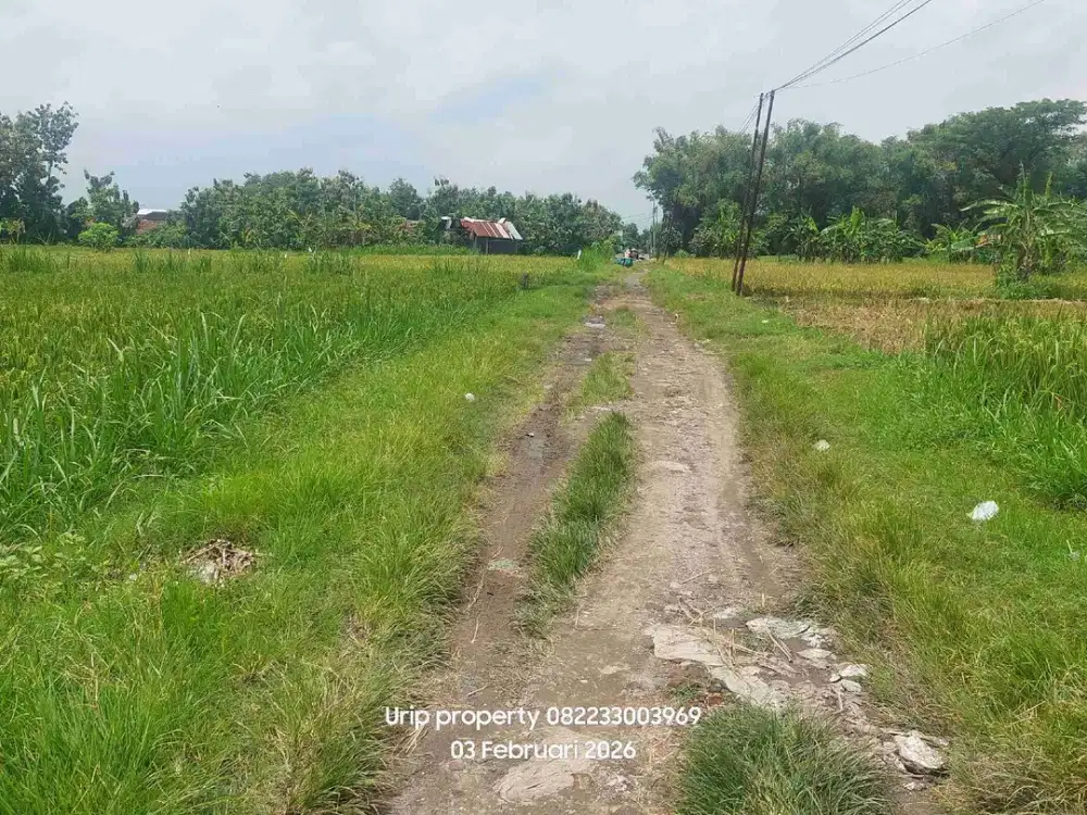 Dijual lahan perum 1,5ha di jatikuwung karanganyar