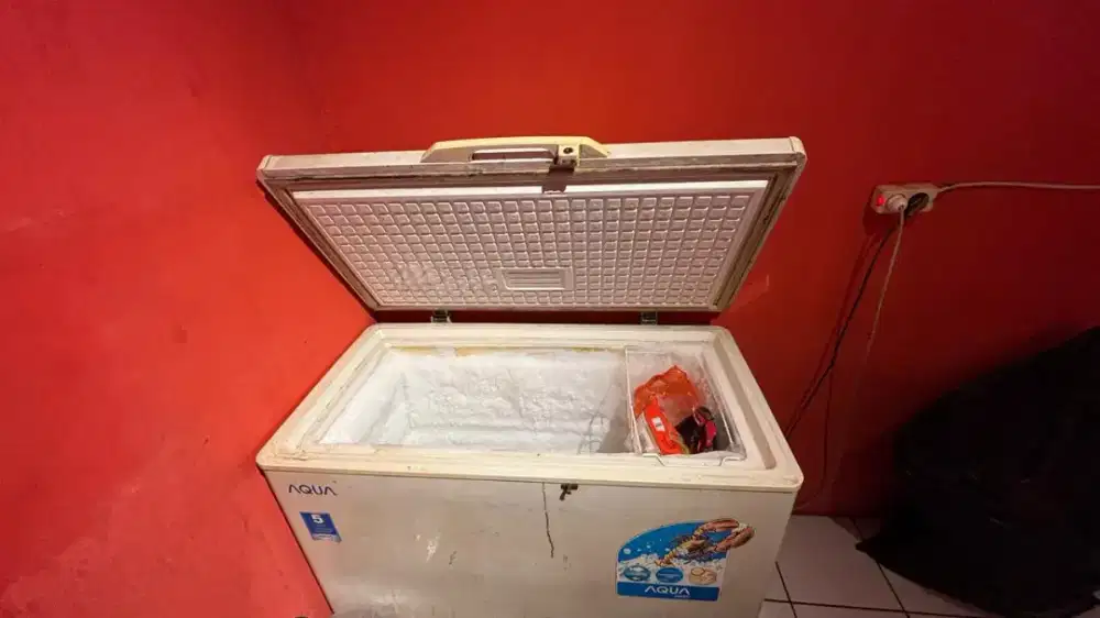 Freezer Aqua 300L