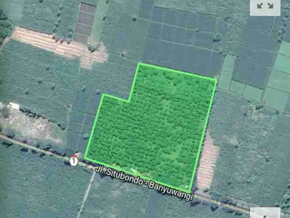 Dijual Tanah Kebun Mangga Situbondo