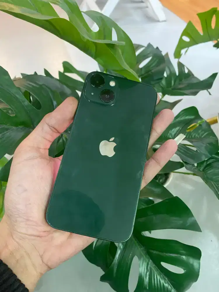 iphone 13 inter all operator