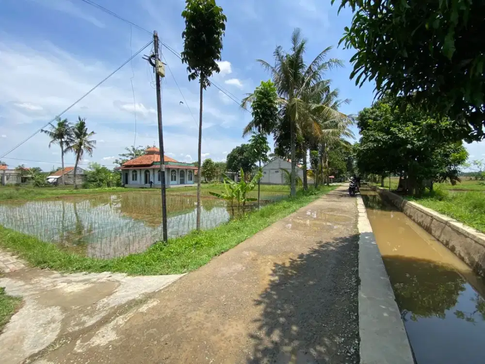 Dijual Murah Tanah Akses Mobil di Daerah Tegal Munjul Kota Purwakarta