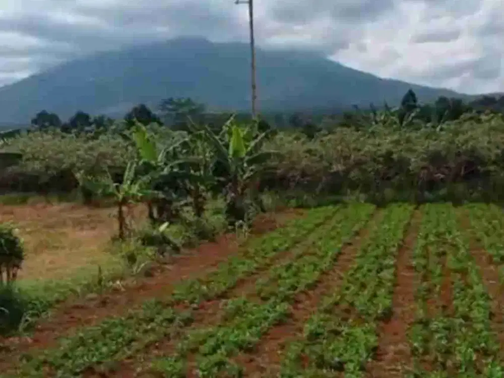 CIGOMBONG CIJERUK BOGOR