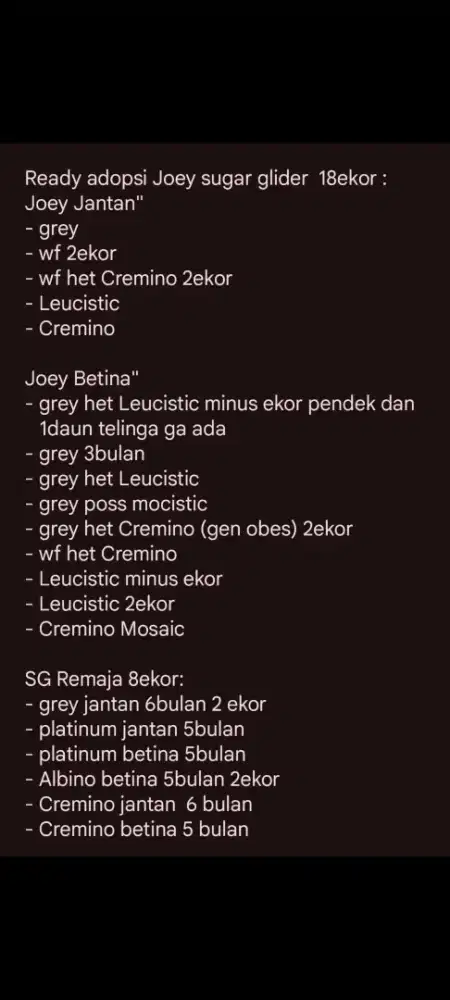 Joey dan remaja Suger glider