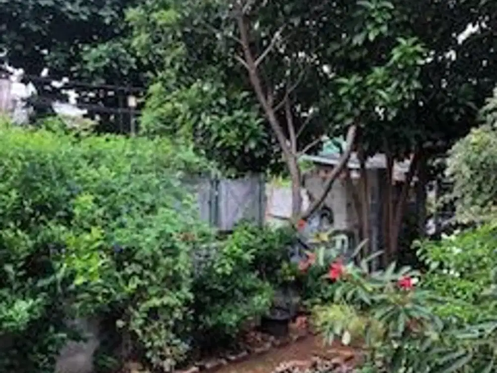 Rumah Lokasi Prima di Jakarta Selatan