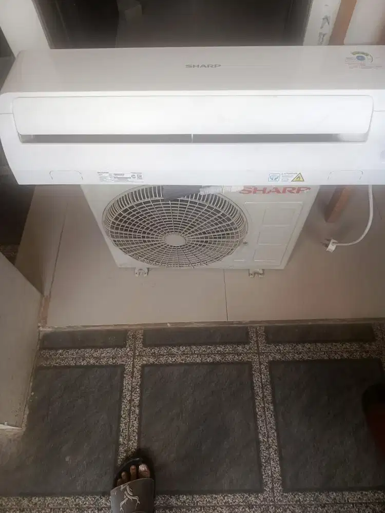 AC Sharp Low Watt 1/2 PK