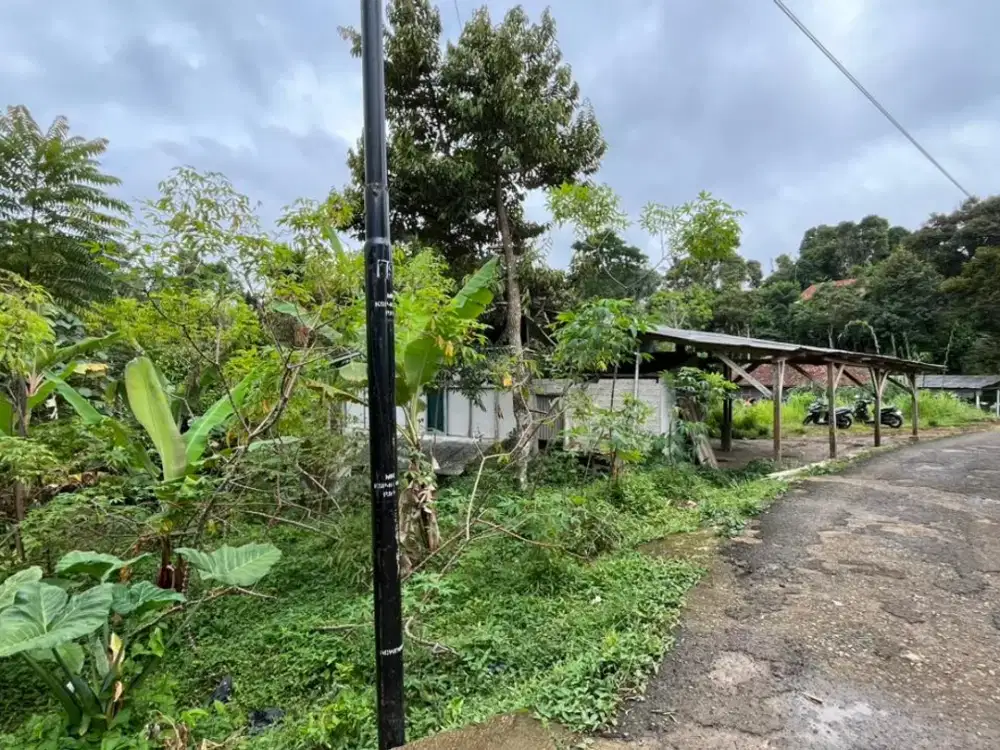 Dijual Tanah Kebun Dekat Pemukiman Pinggir Jalan Dijual Murah