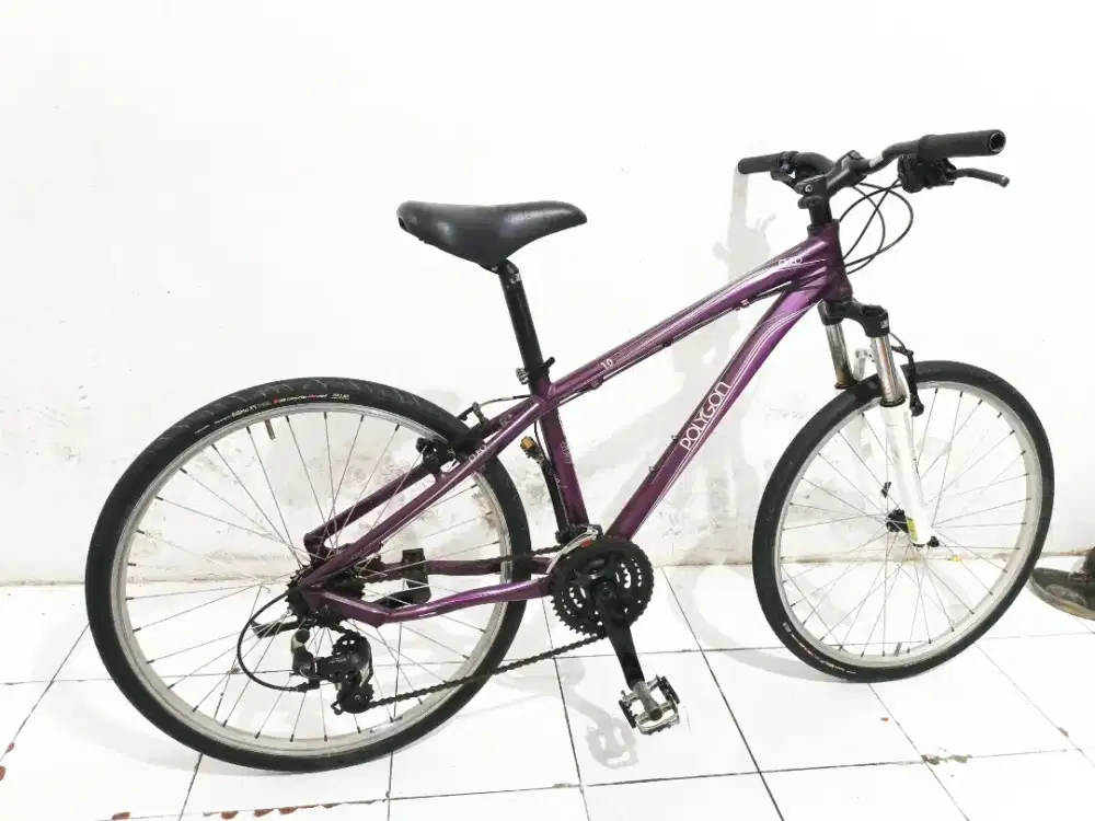 polygon cleo 1 aloy ban 26