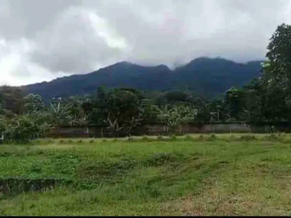 KEBUN DURIAN VIEW GUNUNG SALAK &GUNUNG PANGRANGO