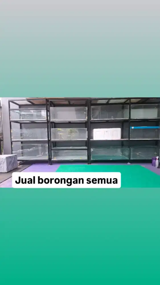 Dijual tank aquarium dan Rak set