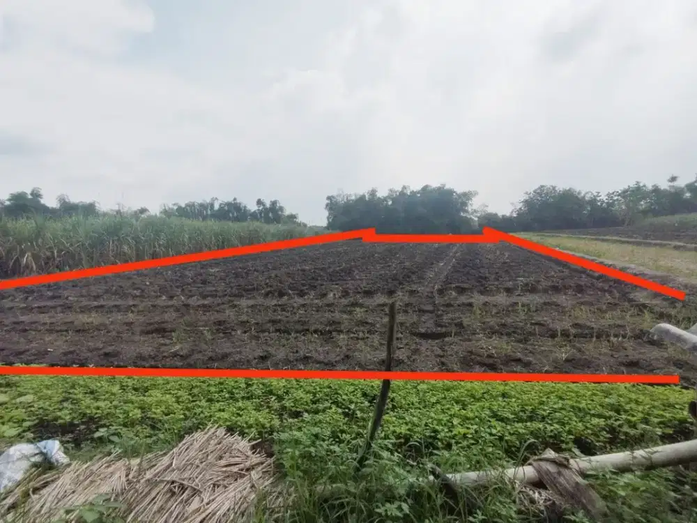 Dijual Lelang Tanah Mojodowo Kemlagi Mojokerto Dekat Puskesmas