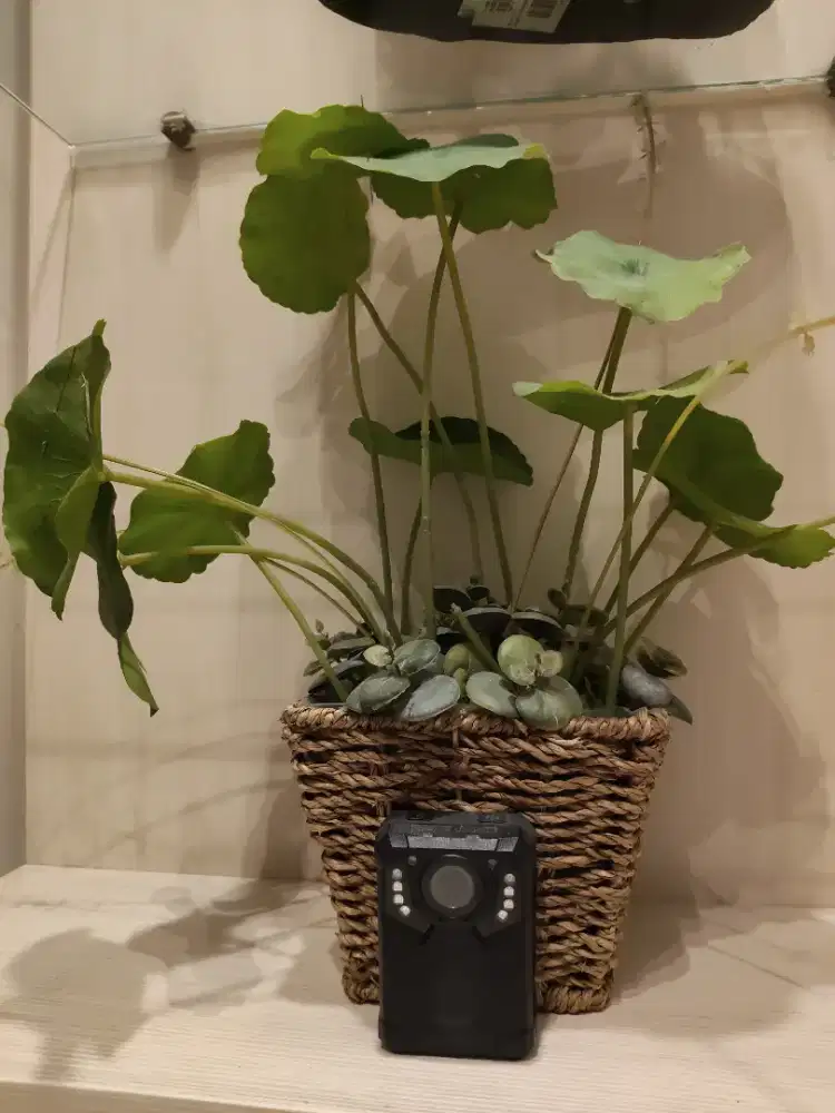 Staff administrasi perempuan