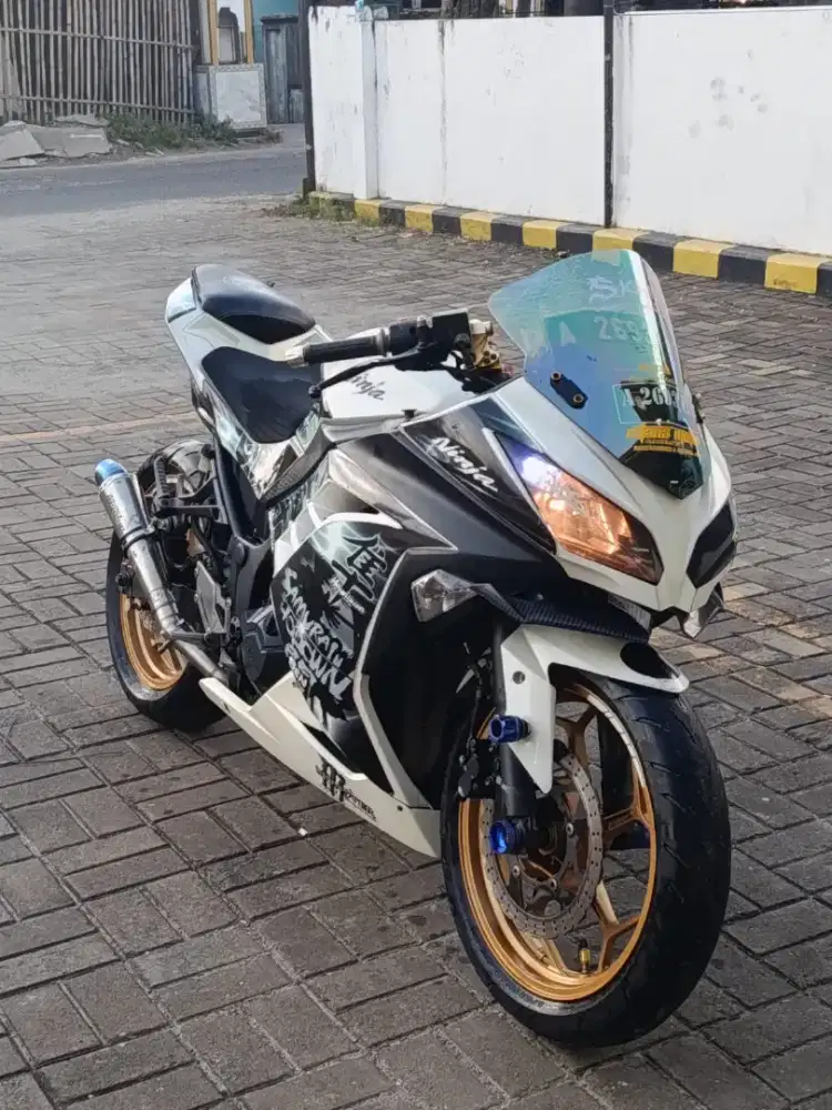 Ninja Fi 250cc 2013