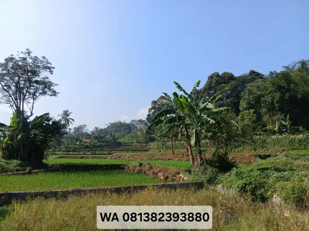 Dijual tanah sawah produktip