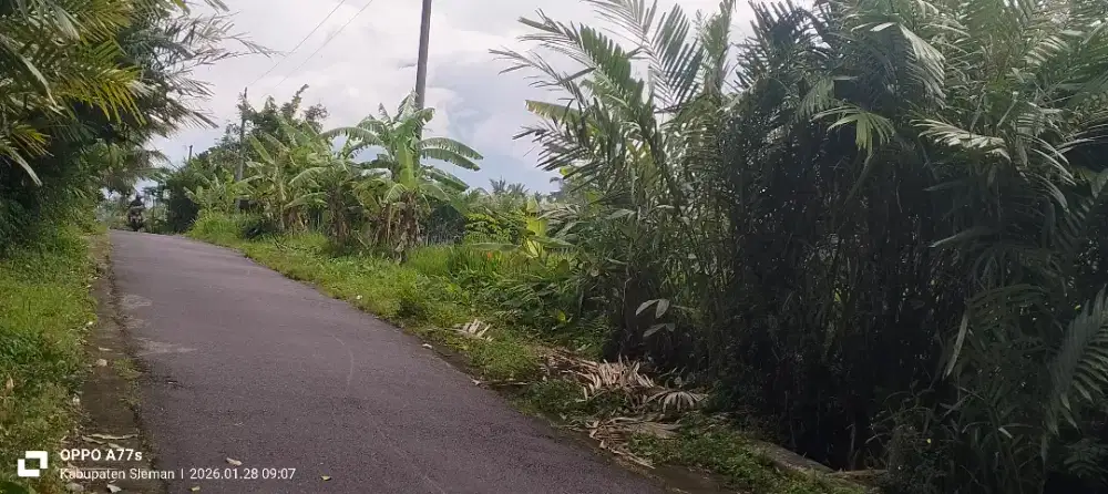 Di Jual Tanah Sawah Di Pasar Ikan Garongan Wonokerto Turi View Merapi