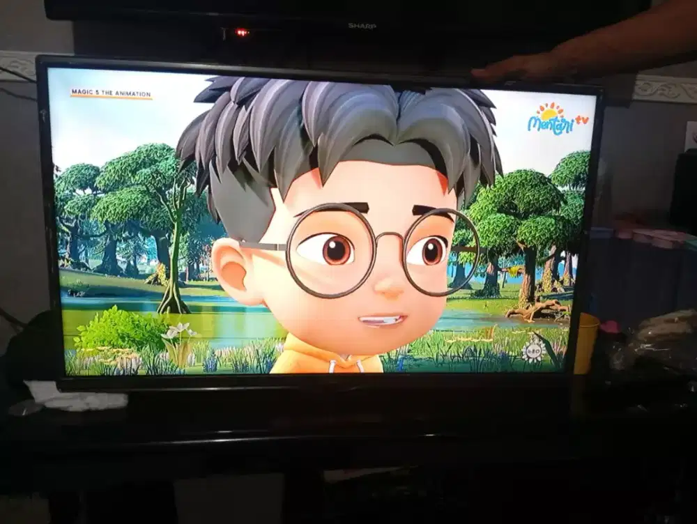 TV LED LG ANALOG 32 INCH