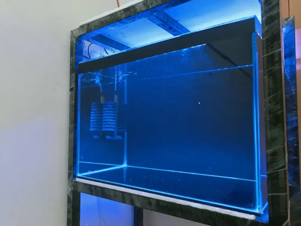 Aquarium dan Rak Baru (tidak jadi Pakai)