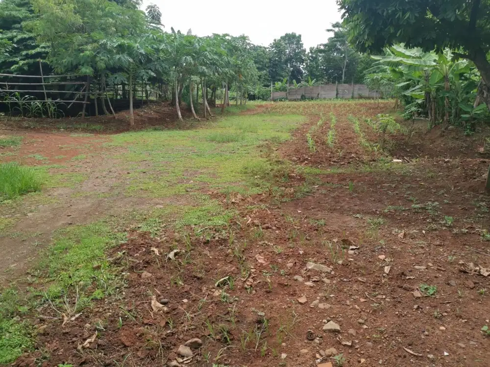 Jual tanah pinggir jalan raya di Purwakarta