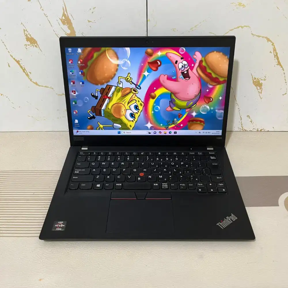 Lenovo ThinkPad X395