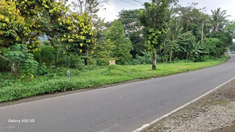 Dijual Tanah Milik Probadi (Bisa nego) 1.288m