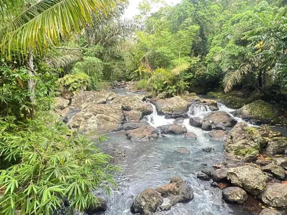 Dijual Tanah Kebun Los Sungai Indah Berbatu Di Tabanan Bali