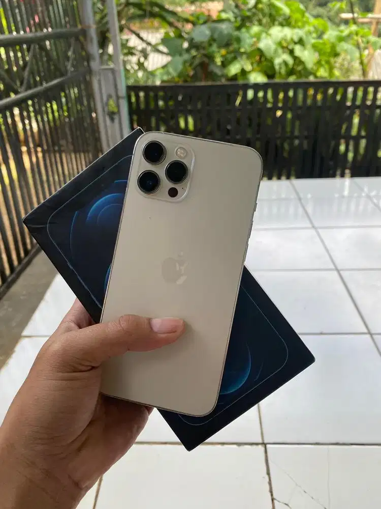 iphone 12 pm 128 beacukai