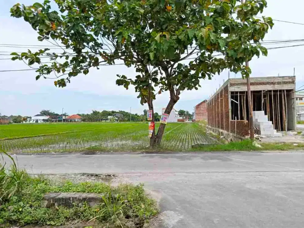 Tanah Kartasura 2930Mt, Ld 31Mt, Ngemplak, dkt UIN Raden Mas Said, Sukoharjo