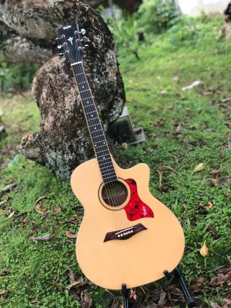 gitar Taylor akustik elektrik