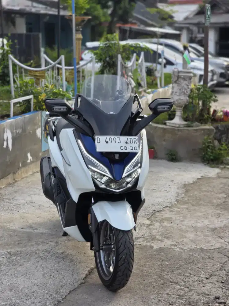 Honda Forza 250 ABS
Tahun 2019