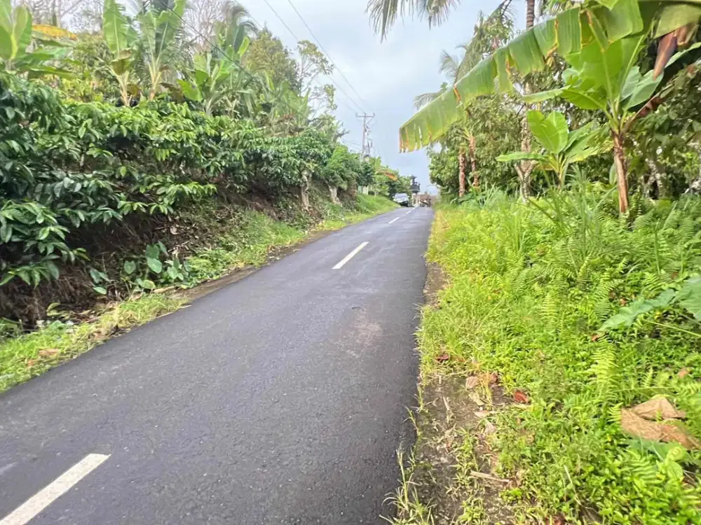 Dijual Tanah Luasan Kecil View Gunung Dan Sawah Yg Cantik Di Tabanan Bali
