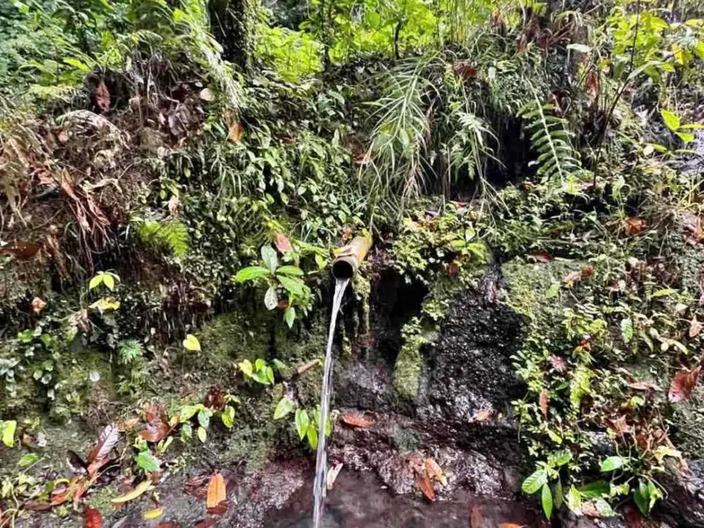 jual tanah penatahan penebel ada sumber mata air