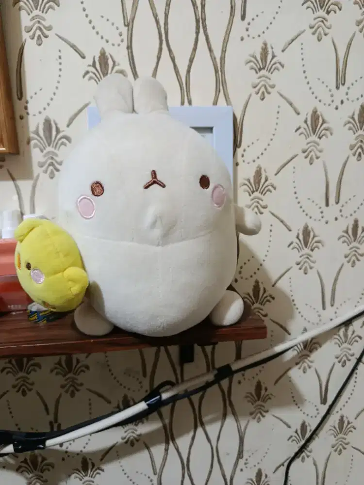 Molang piue boneka kartun