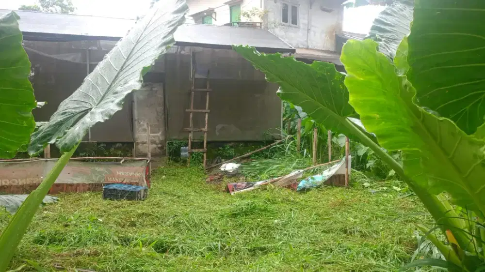 LOKER SERABUTAN HARIAN