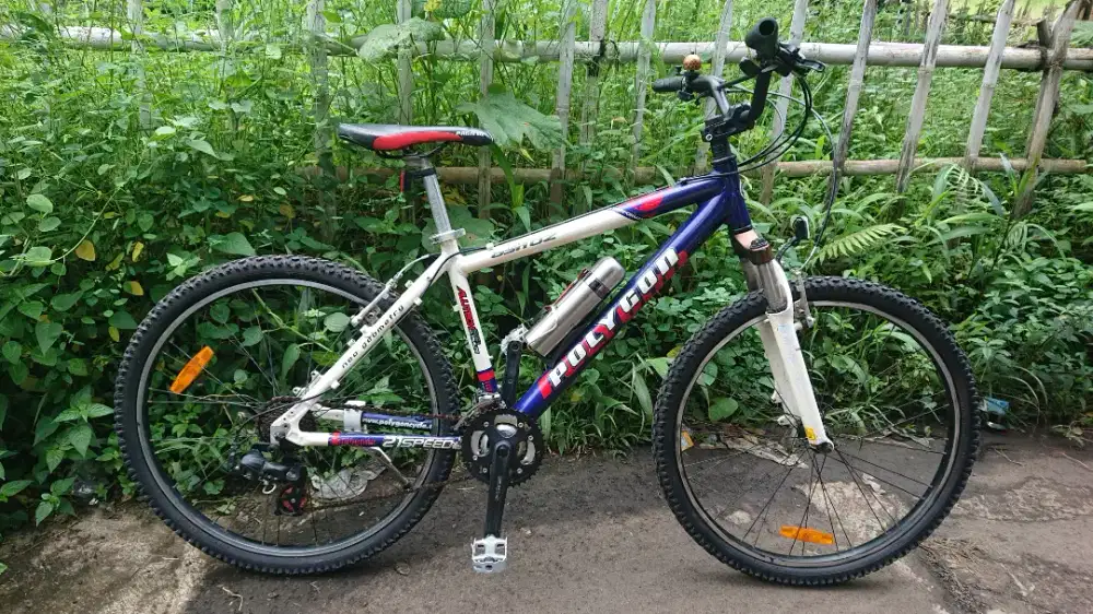 Sepeda Mtb POLYGON Astroz 26