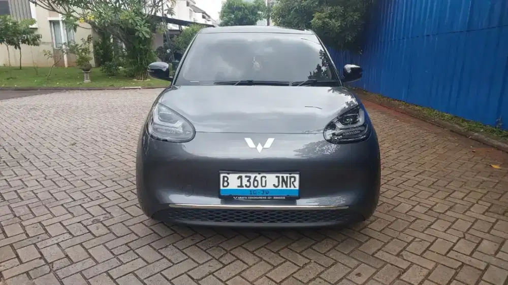 Wuling Binguo Ev 2025