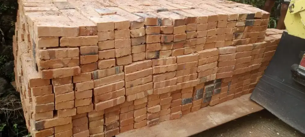 Dijual Bata Merah jumbo Super