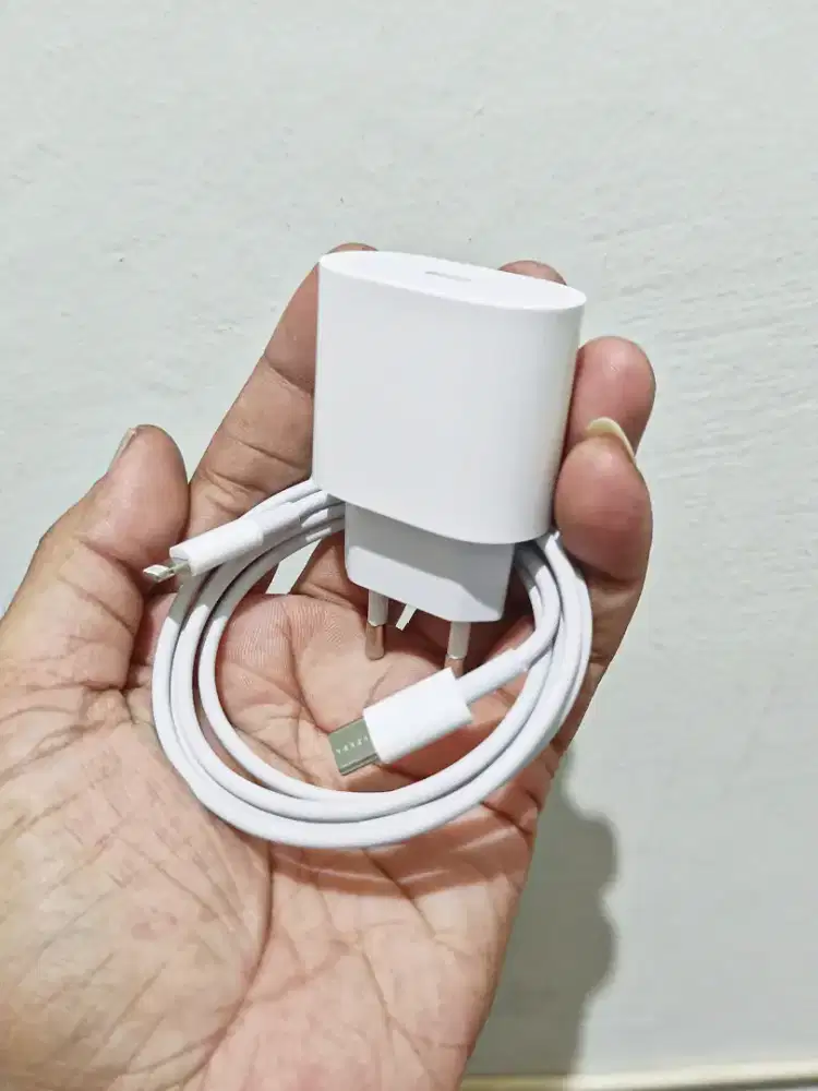 Cas Original Iphone 25 Watt