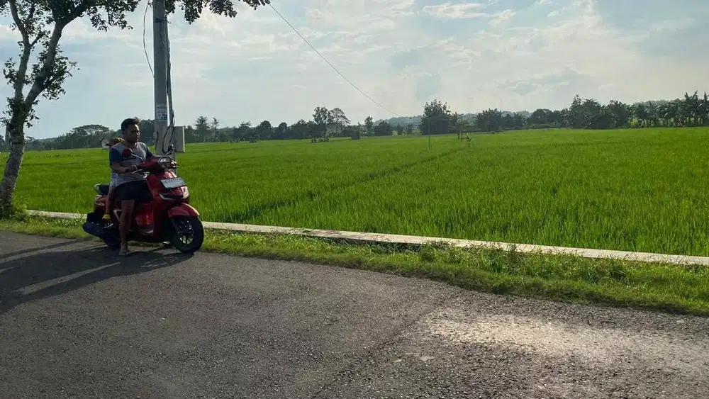 Nol Jalan Sawah 1 Hektar lebih