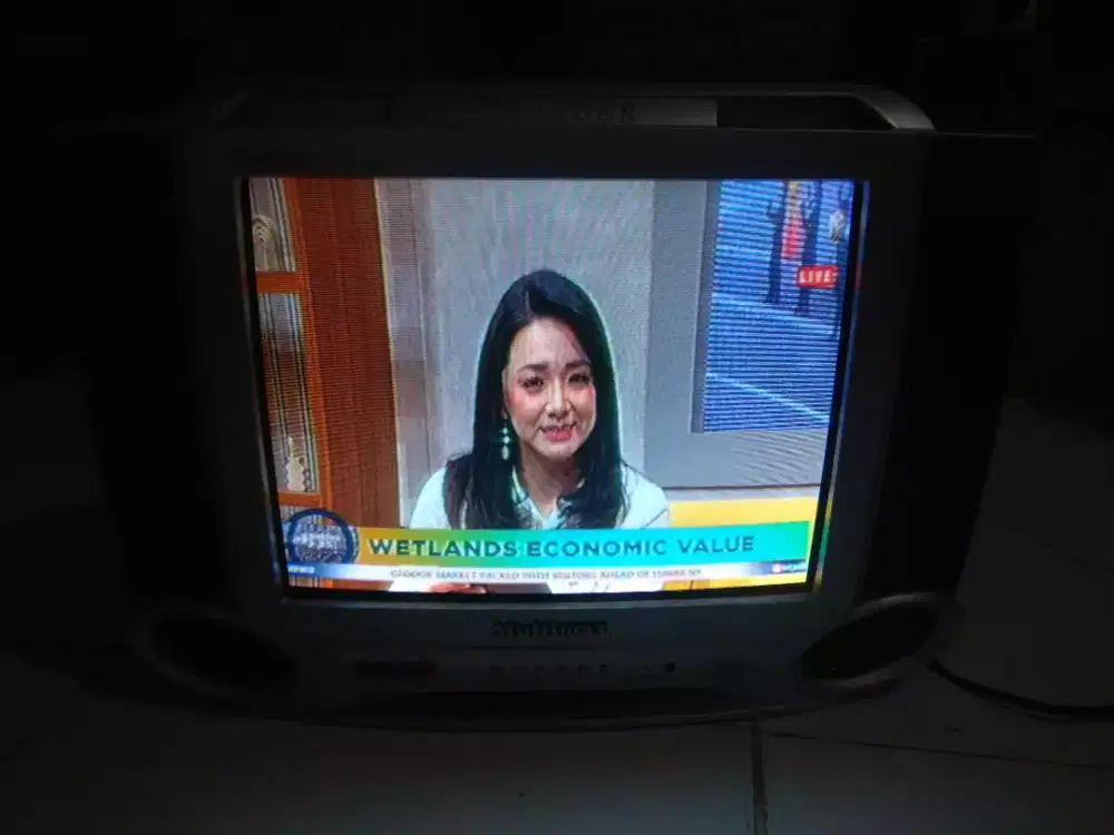 Jual TV Multimax 14inch Analog
