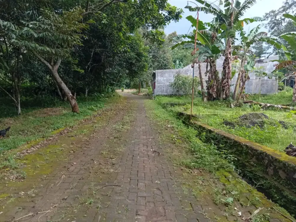Tanah murah Shm  dekat fatimah zahra unnes  bebas banjir siap bangun