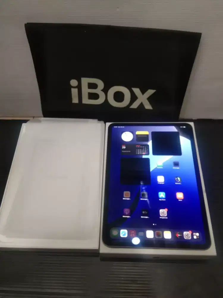 Ipad Pro M4 11inci 256GB Wifi-Only iBox Mulus