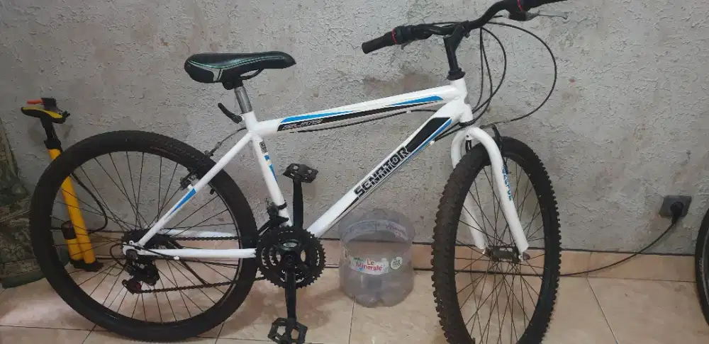 Sepeda merk senator