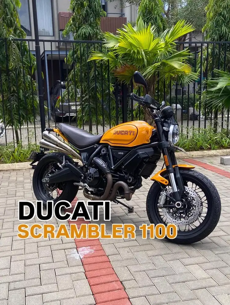 Ducati Scrambler 1100
